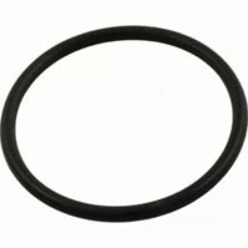 Sta-rite Max-E-Pro/Dura-Glas II Trap Cover O-Ring V26-365 U9-375