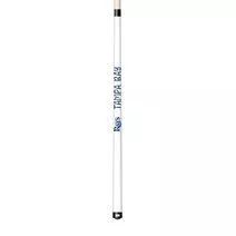 Tampa Bay Rays 48" Short Cue