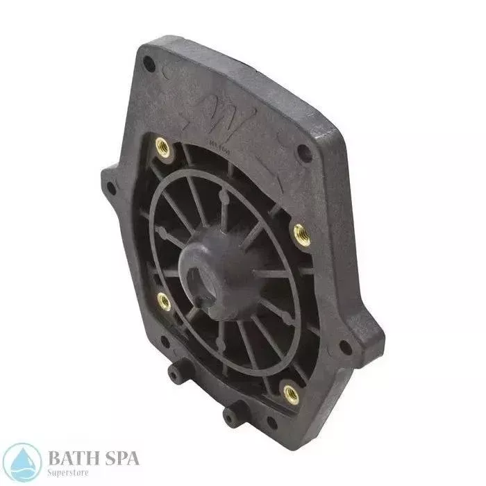 Waterway Champion Pump Seal Plate (311-1450)