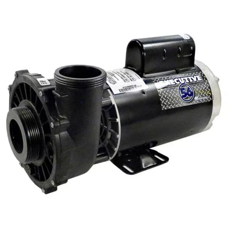 Waterway Executive 56FR 2HP 2SP 230V