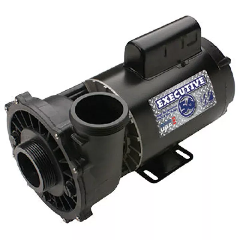Waterway Executive Spa Pump 5HP I 230V I 2″x 2″