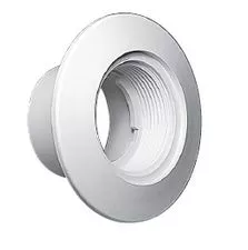 Waterway Return Wall Fitting 1.5 FPT x 2" Insider - Gray # 215-9897
